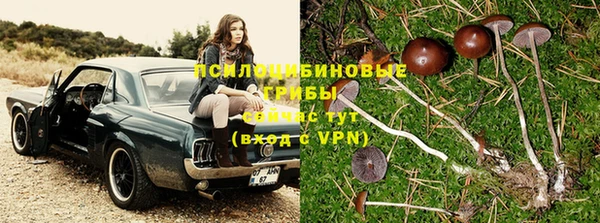таблы Пролетарск