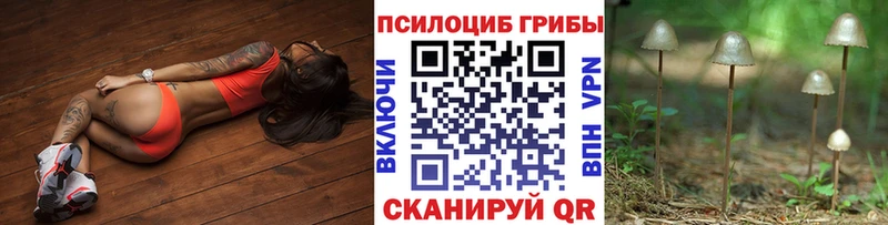 Галлюциногенные грибы GOLDEN TEACHER  что такое   Канск 