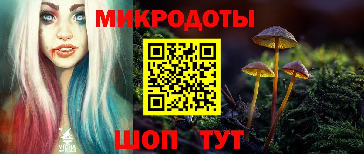 хочу наркоту  Псилоцибиновые грибы Cubensis  Вход с VPN  Канск 